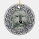 Recherche de colley ornements Chien
