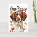 Recherche de breton vœux cartes Dog
