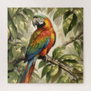 Recherche de perroquets sauvages puzzles Oiseau