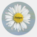 Recherche de marguerite jaune autocollants Bleu