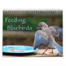 Recherche de oiseau calendriers Bleu