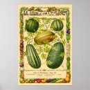 Recherche de melone posters Botanique