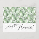 Recherche de paume cartes postales Tropical