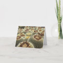 Recherche de barrel vœux cartes Cactus à baril