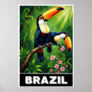 Recherche de amazone posters Toucan