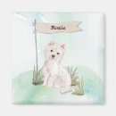 Recherche de canines magnets Animaux de compagnie