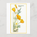Recherche de botanique antique cartes postales Illustration