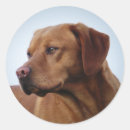 Recherche de chasse au renard autocollants Canon