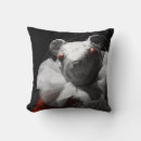 Recherche de cordes de base Rouge