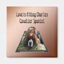 Recherche de cavaliers magnets Pour tous