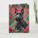 Recherche de terriers écossais vœux cartes Animal
