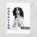 Recherche de cavalier cartes postales Espagne
