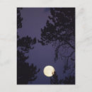 Recherche de lune cartes postales Branches