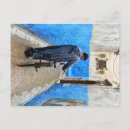 Recherche de essaouira posters Afrique