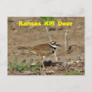 Recherche de oeil brun cartes postales Pour tous