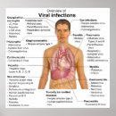 Recherche de infection Virus
