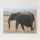 Recherche de éléphant africain puzzles Animaux