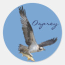 Recherche de wildlife party autocollants Balbuzard pêcheur