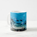 Recherche de beaches tasses Maldives