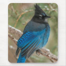 Recherche de cathy tapis souris Paysage
