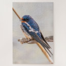 Recherche de hirondelles puzzles Hirondelle de grange