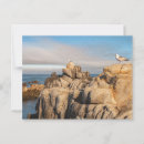 Recherche de littoral rocheux cartes postales Saisonnier