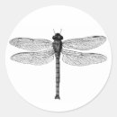 Recherche de insectes vintages autocollants Pour tous