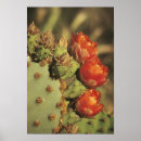 Recherche de figues posters Nature
