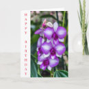 Recherche de orchidée blanche vœux cartes Fleurs