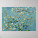Recherche de blanc bleu turquoise posters Floral