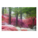 Recherche de callaway posters Printemps