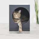 Recherche de nouvel animal familier vœux cartes Minou