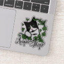 Recherche de adoptez un chat Chats
