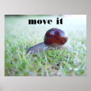 Recherche de mollusque posters Escargot