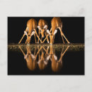 Recherche de trois animaux cartes postales Faune