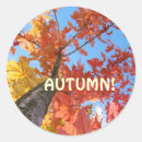 Recherche de automne feuille autocollants Toute personne