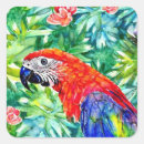 Recherche de peinture de perroquet autocollants Macaw