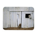Recherche de fenêtre magnets Animal
