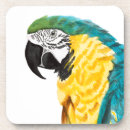 Recherche de tropical dessous de verres Animal
