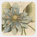 Recherche de lotus bleu autocollants Vintage