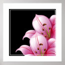 Recherche de lillie posters Fleurs