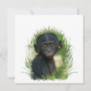 Recherche de bonobo cartes invitations Primate