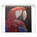 Recherche de perroquet calendriers Oiseau
