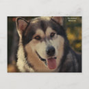 Recherche de malamute cartes postales Enfants