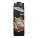 Recherche de grenouille photographie Mignon