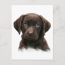 Recherche de peinture de labrador cartes postales Retriever
