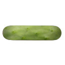 Recherche de cactus skateboards Plante