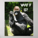 Recherche de singe gorille posters Faune