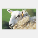 Recherche de moutons rectangles autocollants Mignon
