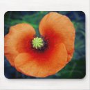 Recherche de macro tapis souris Jardin